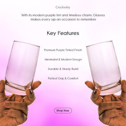Purple Glassia Tinted Water Glass Set of 6 280 ml