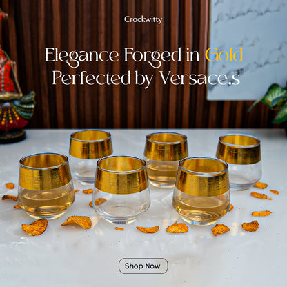 Royal Gold Versace Whiskey Glass Set of 6 370 ml