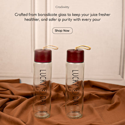 Borosilicate Glass Juice Bottle Set of 1 750 ml