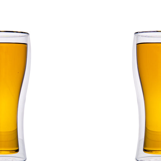 Double Wall Beer Mug