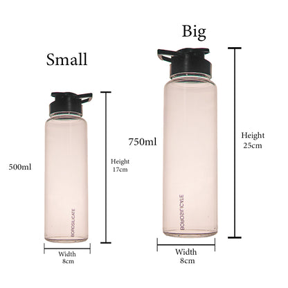 ZenSip Borosilicate Water Bottle Set of 1 750 ml